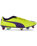 PUMA - CHAUSSURE evoPOWER 1 Mixed SG